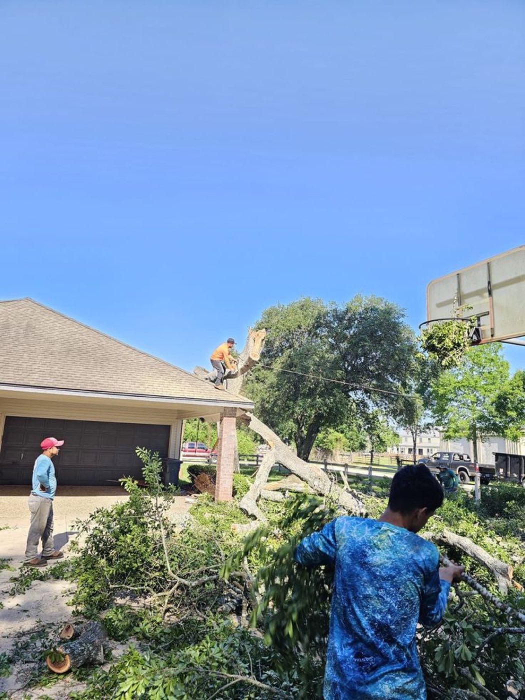 Mike Hawkins, owner of Hawkins Tree Service LLC