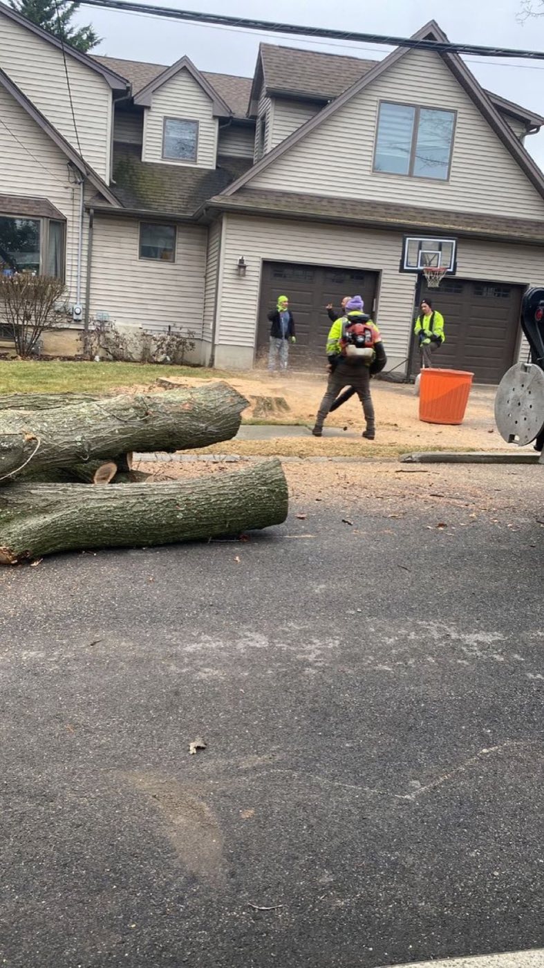 Hawkins Tree Service crew completing a job in Southwest Missouri