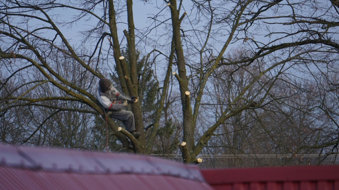 Complete tree removal service in Southwest Missouri